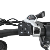 RICH BIT C01 Dual Motor 3000W 48V 20Ah elektrinis fat bike