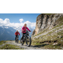 RICH BIT C01 Dual Motor 3000W 48V 20Ah elektrinis fat bike