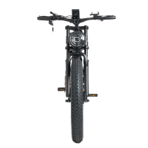 RICH BIT C01 Dual Motor 3000W 48V 20Ah elektrinis fat bike