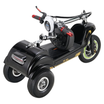 TWOFISH TF03 500W 48V 15Ah elektrinis triratis paspirtukas
