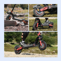 TWOFISH V4 MAX 800W 52V 23Ah elektrinis paspirtukas