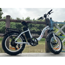 Drvetion CT20 elektrinis sulankstomas fatbike 750W 15Ah