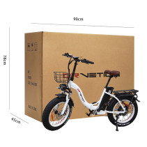 Drvetion CT20 elektrinis sulankstomas fatbike 750W 15Ah