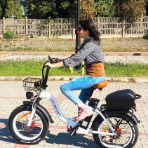 Drvetion CT20 elektrinis sulankstomas fatbike 750W 15Ah