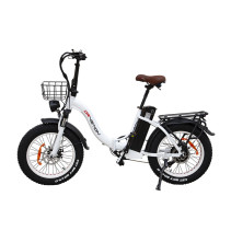 Drvetion CT20 elektrinis sulankstomas fatbike 750W 15Ah