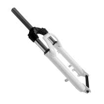 Drvetion CT20 elektrinis sulankstomas fatbike 750W 15Ah
