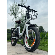Drvetion CT20 elektrinis sulankstomas fatbike 750W 15Ah