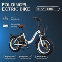 Drvetion CT20 fatbike elektrinis sulankstomas dviratis 750W 20Ah