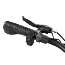 Drvetion CT20 fatbike elektrinis sulankstomas dviratis 750W 20Ah