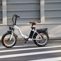 Drvetion CT20 fatbike elektrinis sulankstomas dviratis 750W 20Ah