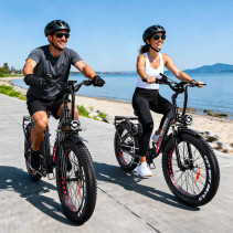 Drvetion CTR26 elektrinis fatbike 1000W 15Ah