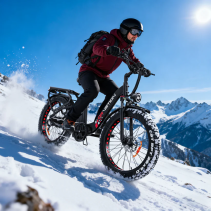 Drvetion CTR26 elektrinis fatbike ilgoms kelionėms 20Ah