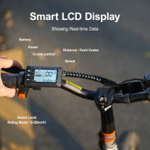 AVDLBIKE A10 sulankstomas elektrinis dviratis 250W 36V