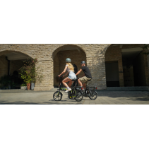 AVDLBIKE A10 sulankstomas elektrinis dviratis 250W 36V
