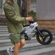 AVDLBIKE A02 mini sulankstomas elektrinis dviratis 250W