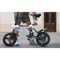 AVDLBIKE A02 mini sulankstomas elektrinis dviratis 250W