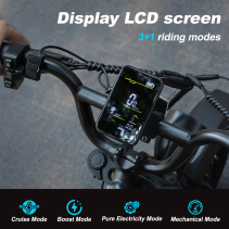 AVDLBIKE A13 elektrinis fatbike paaugliams 250W