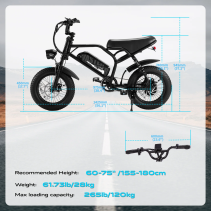 AVDLBIKE A13 elektrinis fatbike paaugliams 250W