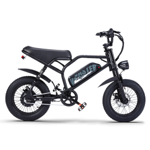 AVDLBIKE A13 elektrinis fatbike paaugliams 250W