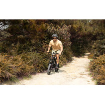 AVDLBIKE A13 elektrinis fatbike paaugliams 250W