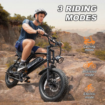 AVDLBIKE A13 elektrinis fatbike paaugliams 250W
