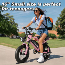 AVDLBIKE A13 elektrinis fatbike paaugliams 250W