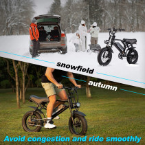 AVDLBIKE A13 elektrinis fatbike paaugliams 250W