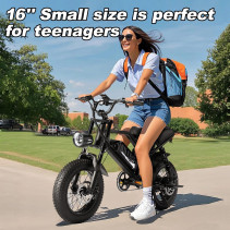 AVDLBIKE A13 elektrinis fatbike paaugliams 250W