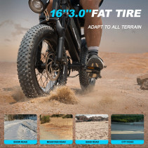 AVDLBIKE A13 elektrinis fatbike paaugliams 250W