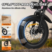 AVDLBIKE A13 elektrinis fatbike paaugliams 250W