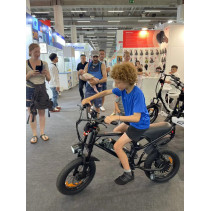 AVDLBIKE A13 elektrinis fatbike paaugliams 250W