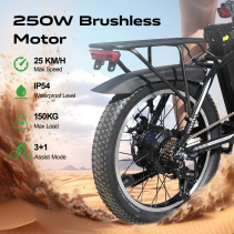 Sulankstomas elektrinis dviratis AVDLBIKE A21S – 250W, iki 80 km