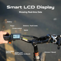 Sulankstomas elektrinis dviratis AVDLBIKE A21S – 250W, iki 80 km