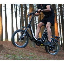 Sulankstomas elektrinis dviratis AVDLBIKE A21S – 250W, iki 80 km