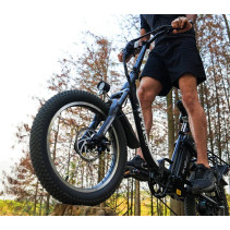 Sulankstomas elektrinis dviratis AVDLBIKE A21S – 250W, iki 80 km