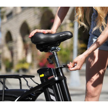 Sulankstomas elektrinis dviratis AVDLBIKE A21S – 250W, iki 80 km