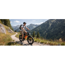 AVDLBIKE A50 elektrinis dviratis 20x4.0 | 48V 15.6Ah