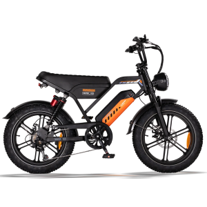AVDLBIKE A50 elektrinis dviratis 20x4.0 | 48V 15.6Ah