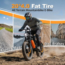 AVDLBIKE A50 elektrinis dviratis 20x4.0 | 48V 15.6Ah