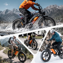 AVDLBIKE A50 elektrinis dviratis 20x4.0 | 48V 15.6Ah
