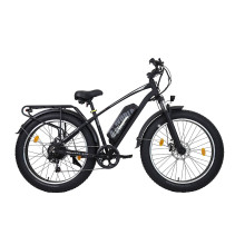 AVDLBIKE A35 fat bike elektrinis dviratis 500W 48V 15.6Ah
