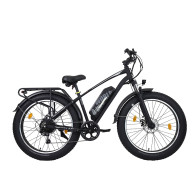 AVDLBIKE A35 fat bike elektrinis dviratis 500W 48V 15.6Ah