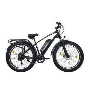 AVDLBIKE A35 fat bike elektrinis dviratis 500W 48V 15.6Ah