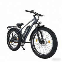 AVDLBIKE A35 fat bike elektrinis dviratis 500W 48V 15.6Ah