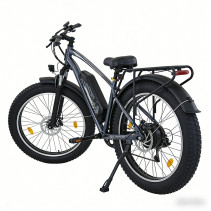 AVDLBIKE A35 fat bike elektrinis dviratis 500W 48V 15.6Ah