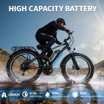 AVDLBIKE A35 fat bike elektrinis dviratis 500W 48V 15.6Ah