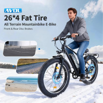 AVDLBIKE A35 fat bike elektrinis dviratis 500W 48V 15.6Ah