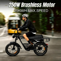AVDLBIKE T3 elektrinis fat bike 500W | Dviguba amortizacija