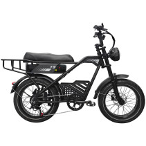 AVDLBIKE T3 elektrinis fat bike 500W | Dviguba amortizacija