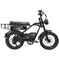 AVDLBIKE T3 elektrinis fat bike 500W | Dviguba amortizacija